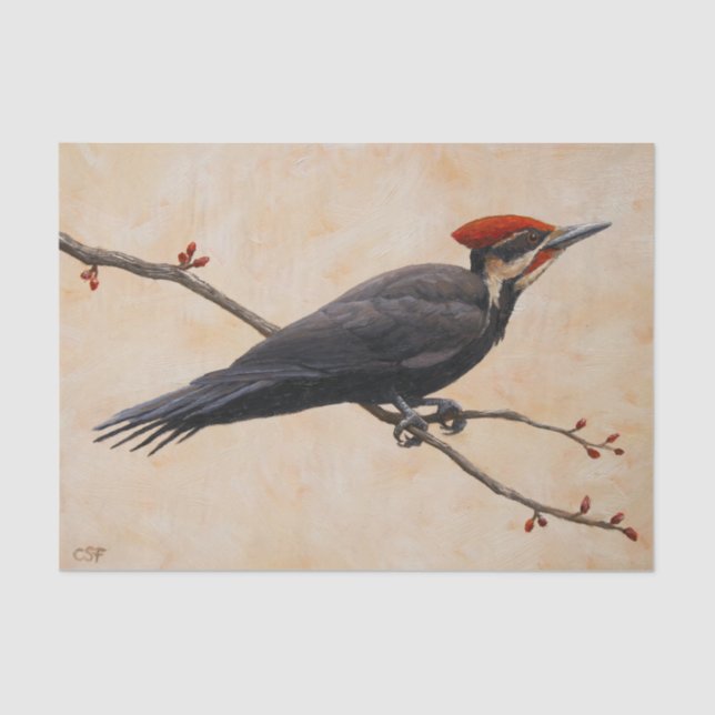 Pileated Woodpecker Perched on Tree Branch Tissue Paper (Front)