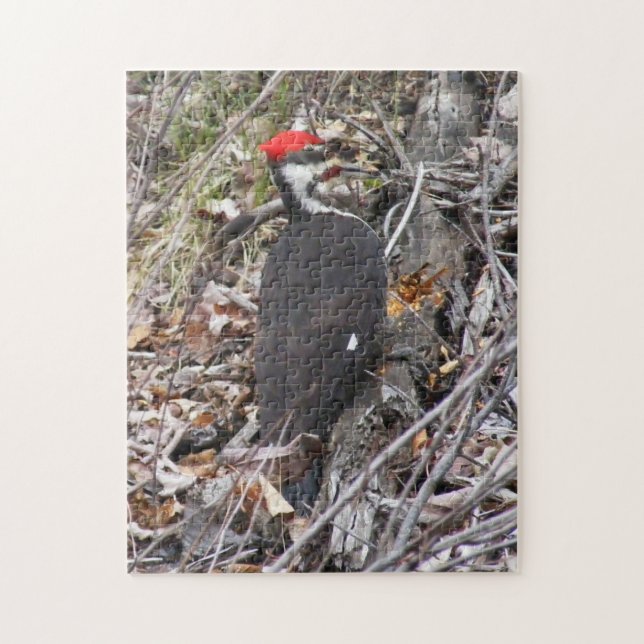 Pileated Woodpecker Puzzle (Vertical)