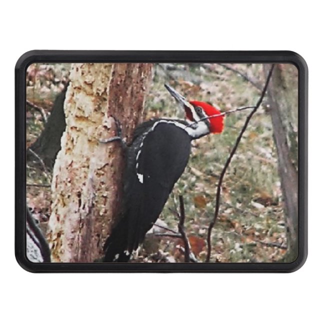 Pileated Woodpecker Trailer Hitch Cover (Front)