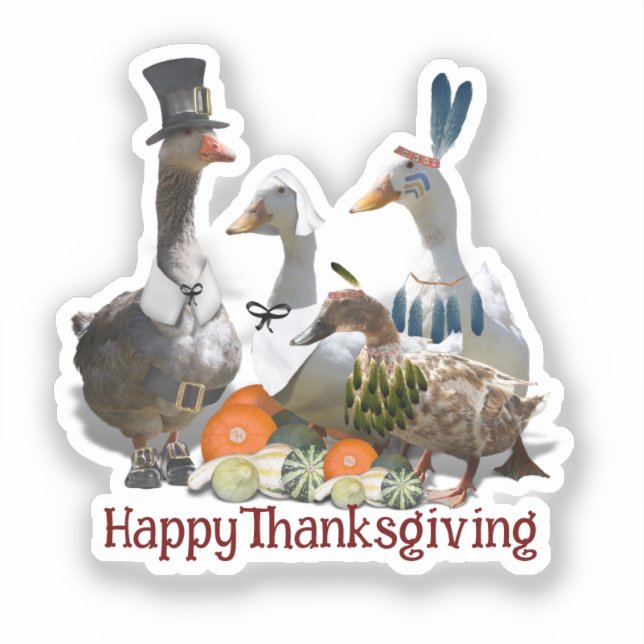Pilgrim Goose Ducks Thanksgiving  (Front)