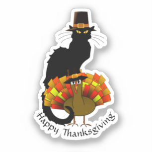 Pilgrim Le Chat Noir Thanksgiving 