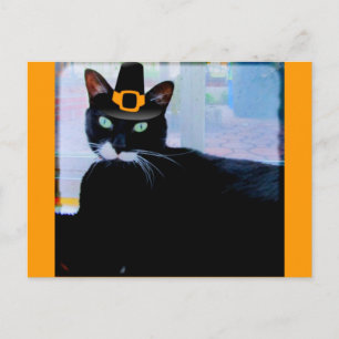 Pilgrim Lucy Postcard