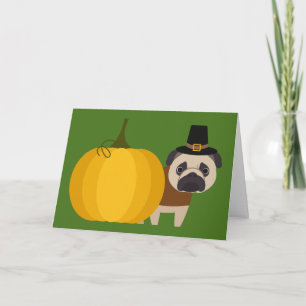 Pilgrim Thanksgiving Pug Holiday Card