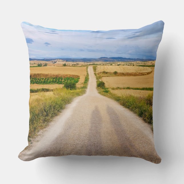 Pilgrim's shadows throw pillow (Front)