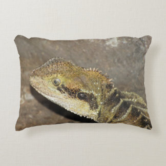 pill accent pillow
