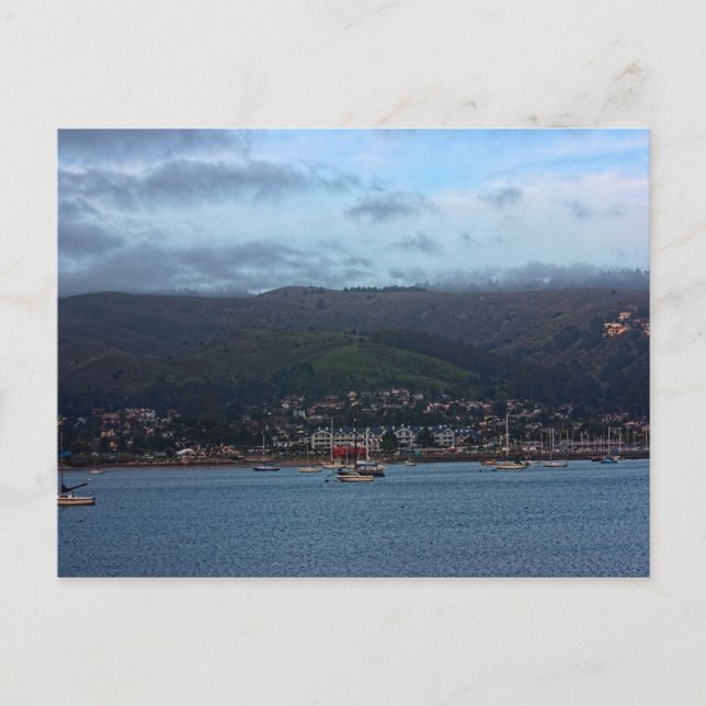 Pillar Point Harbour, postcard (Front)
