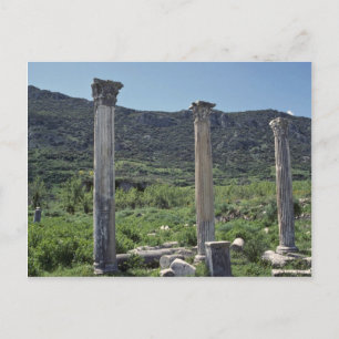 Pillars For The Sky Postcard