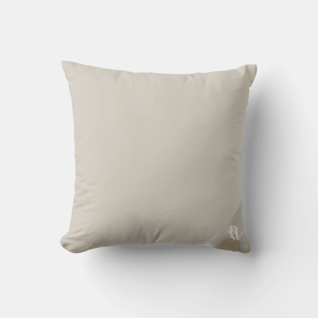 Pillow Abstract Interior Trend Sandy Tornado (Front)