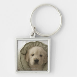 Pillow around dog keychain