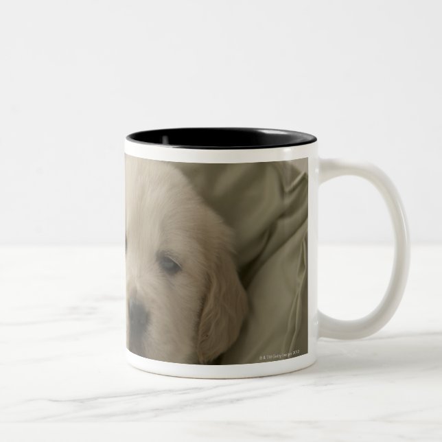 Pillow around dog Two-Tone coffee mug (Right)