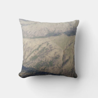 Pillow Art #3