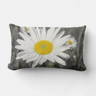 pillow,black, white, grey, still life, lumbar pillow