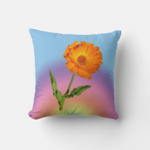 Pillow - Calendula and Rainbow