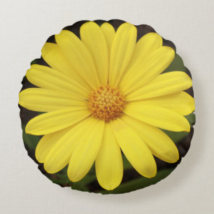 Pillow, daisy like flower in round shape round pillow