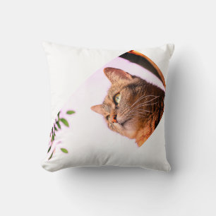 pillow for memory your cat
