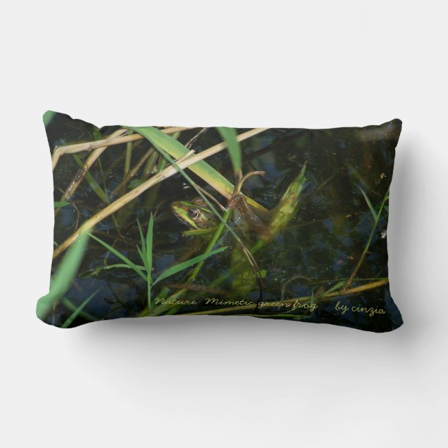 Pillow (lumbar): Mimetic frog in a lake (Front)
