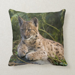 pillow - lynx
