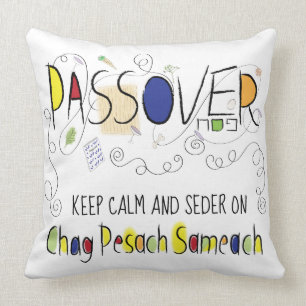 Pillow Passover 20 x 20 Chag Pesach Sameach