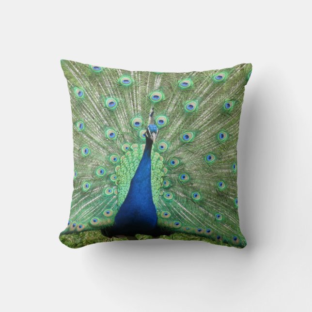 Pillow - Peacock on Display (Front)