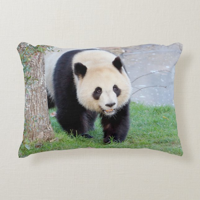 Pillow photo giant panda. (Front)