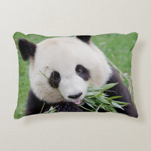 Pillow photo giant panda.