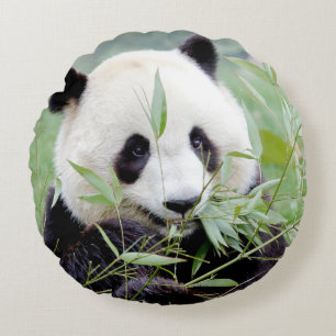 Pillow photo giant panda.