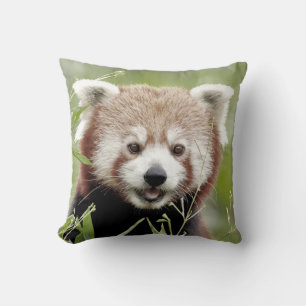 Pillow photo red panda.
