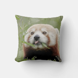 Pillow photo red panda.