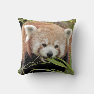 Pillow photo red panda.
