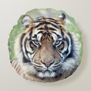 Pillow Photo tiger cat , animals 02 . round pillow
