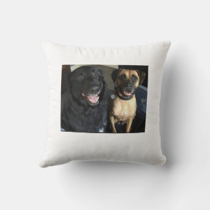 Pillow pups