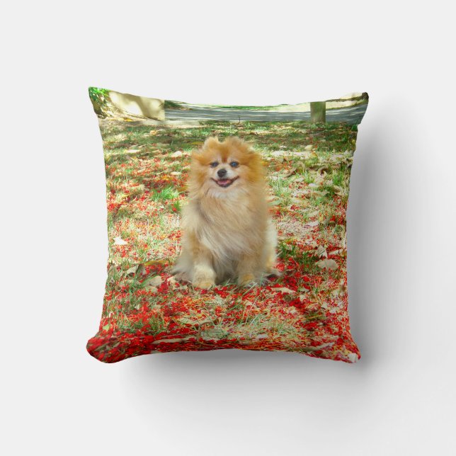 Pillow | Smiling Pomeranian Red Flowers (Front)