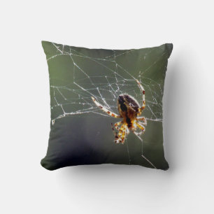 Pillow - Spider on Web