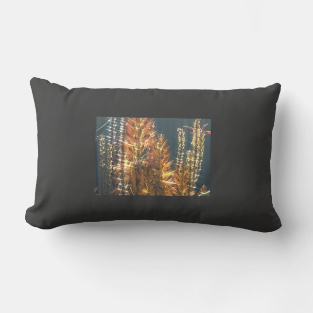 Pillow The Firecraker (Front)