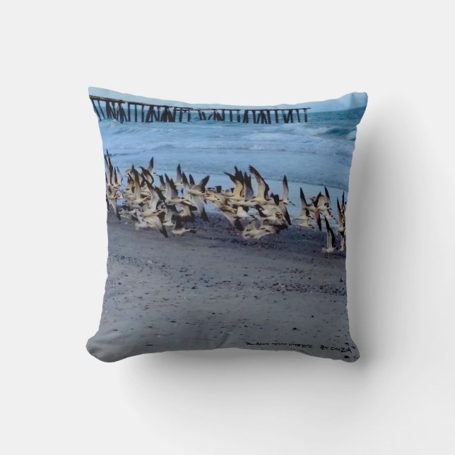 Pillow with birds (black skimmers) (Front)