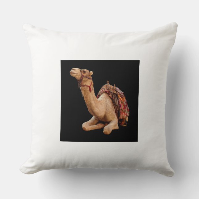 Pillows & Poufs (Front)