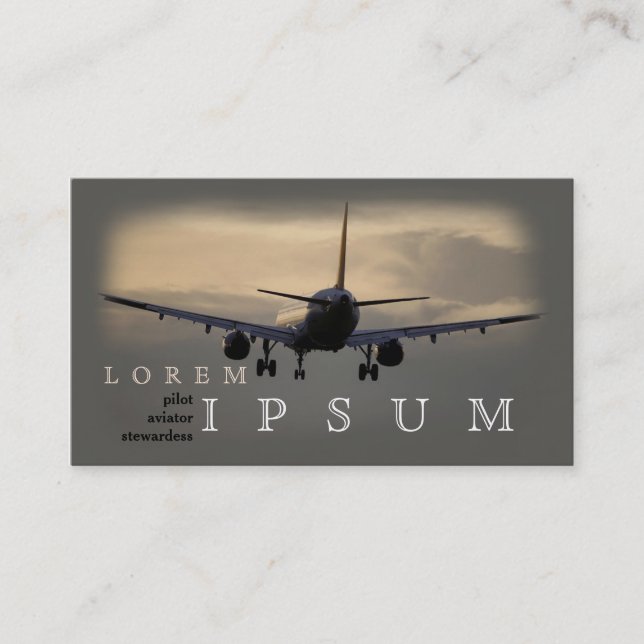 Pilot Aviator Stewardess Plane Sky Trip Fly Business Card (Front)