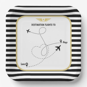 Pilot destination aviation paper plate