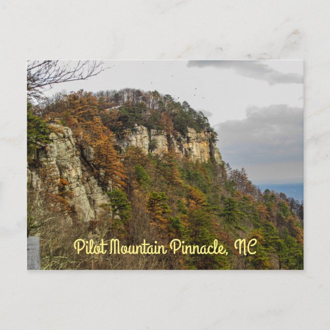 Pilot Mountain Autumn Horizontal Postcard (Front)