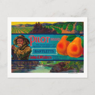 Pilot Pear Crate LabelEl Dorado County, CA Postcard