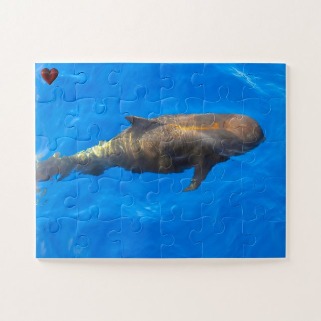 Pilot Whales Jigsaw Puzzle (Horizontal)