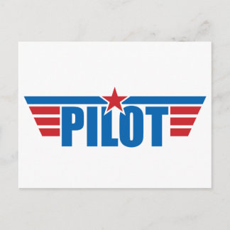 Pilot Wings Badge - Aviation Postcard