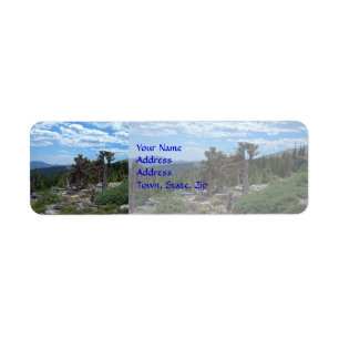 Pin de Bristlecone