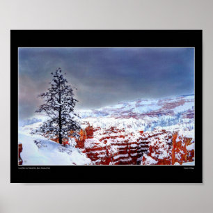 Pin solitaire dans un ciel peint - Poster d'art