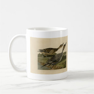 Pin-tailed Duck - from Audubon's Birds of America Coffee Mug