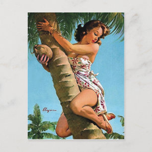 Pin-up girl with coconut up in palm tree vintage postcard