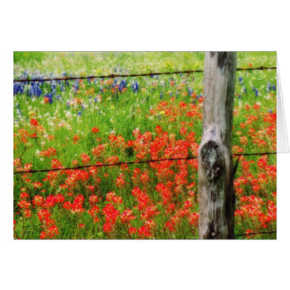 Pinceau Texas derrière Barbed WIre Fence