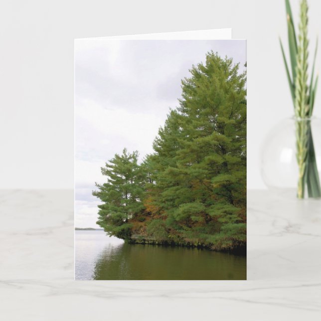 Pine at the Point - Blank Inside Greeting Card (Front)
