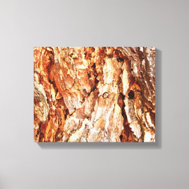 Pine Bark   Canvas Print (Front)