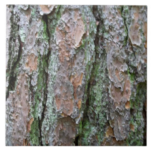 Pine Bark Tile